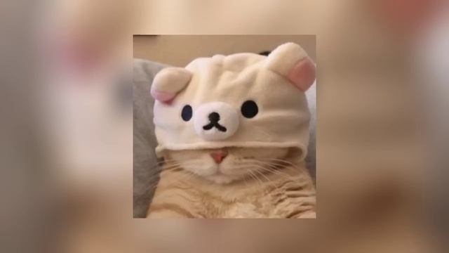 Me Gustas Tu (sped up) смотреть онлайн