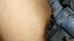 Где находится клапан адсорбера (абсорбера) Хонда Степвгн 2009, Honda Stepwgn. Расположение