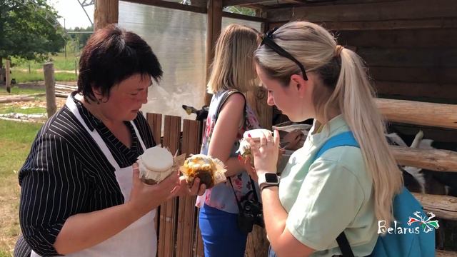 Козоферма в эколого-просветительском центре «Споровский» смотреть онлайн