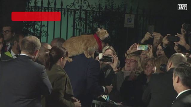 James Bowen: 'Street Cat Bob is in this statue' смотреть онлайн