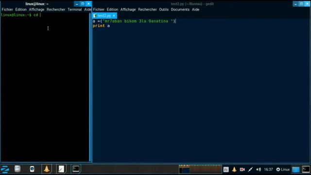 Python Linux смотреть онлайн