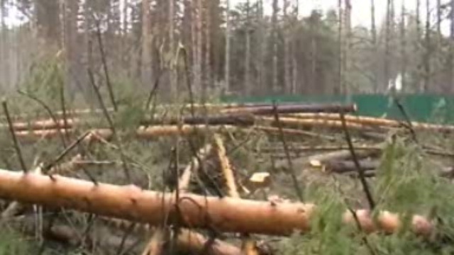 Экологическое преступление