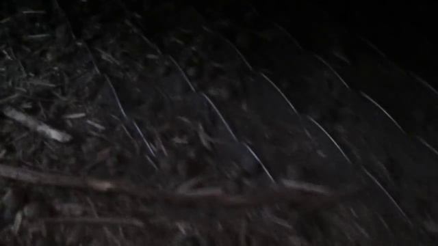 Зимний вольер для кроликов! ОБЗОР // Содержание кроликов зимой на улице! смотреть онлайн