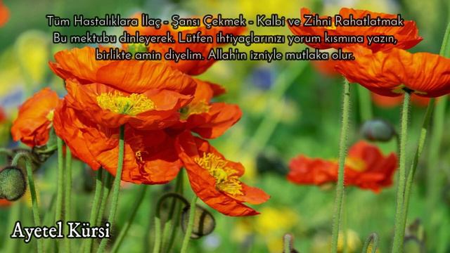 Hastalığınız Ne Kadar Ciddi Olursa Olsun Bu Ayet Sayesinde şifa Bulur, Ayetel Kürsi Dinle