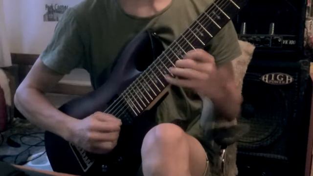 The Haunted - Time (Will Not Heal) Solo Cover смотреть онлайн