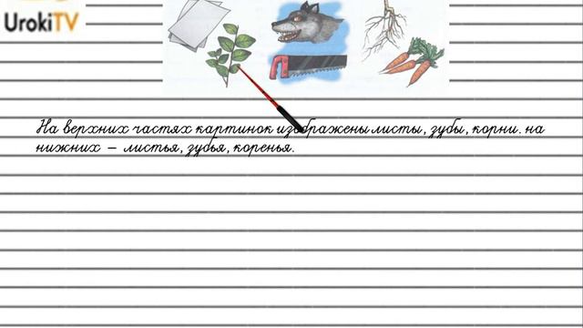 Упражнение №591 — Гдз по русскому языку 5 класс (Ладыженская) 2019 часть 2