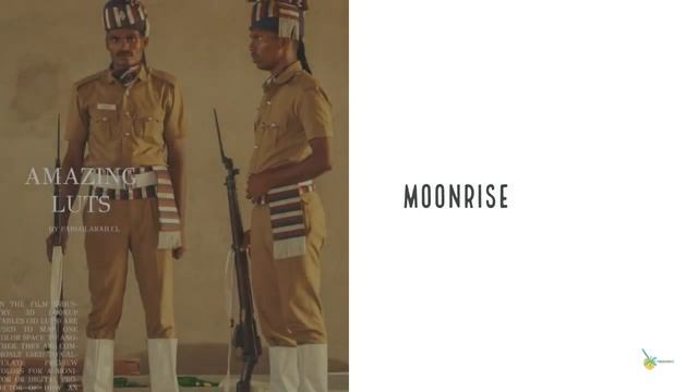 Free Luts Based On Wes Anderson Films