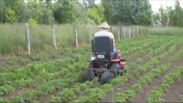 Минитрактор окучивание картошки. смотреть онлайн