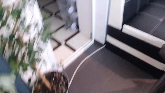 VLOG 13.02.2024г Пригласила мужа на свидание/ Котенок Симба/ Озеро Светлая Жизнь/ Комнатные растени смотреть онлайн