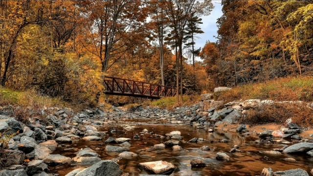 удивительний сон под звуки природи///засыпаю под звук птиц в осенний час///мечта отдохнуть смотреть онлайн