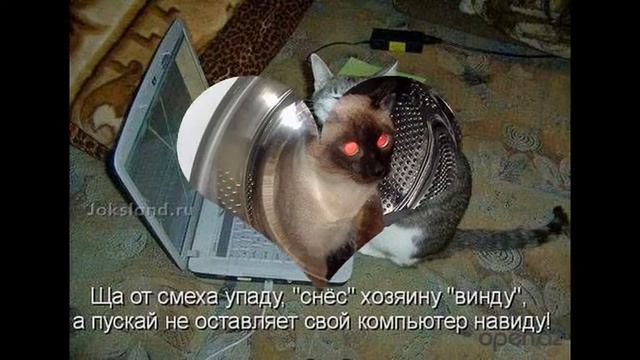 № 27 . СЩАСТЬЕ- ОНО ЕСТЬ...ЕГО НЕ МОЖЕТ НЕ БЫТЬ! смотреть онлайн