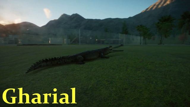 Every Animal in Planet Zoo Having a POO смотреть онлайн