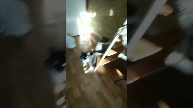 Друзья,от безвыходности, хотим обратиться за помощью для приюта на корма карта Мир2200730240358313? смотреть онлайн