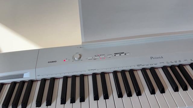 Casio Px-160