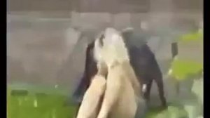 Бухие девушки