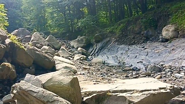 Купаемся в речке очень красивая природа Лазаревское Сочи село Алексеевка 😍💓🌿9 июля 2022 смотреть онлайн