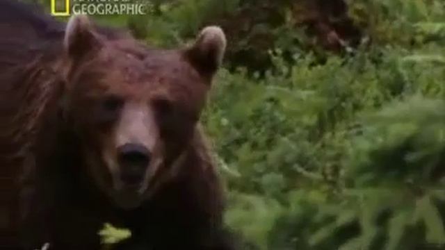 Бурзянский район смотреть онлайн