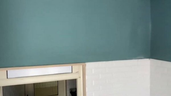 Как выглядит отель для животных Luxy Pet Hotel в Nirvana Cosmopolitan 5*? | tooroom