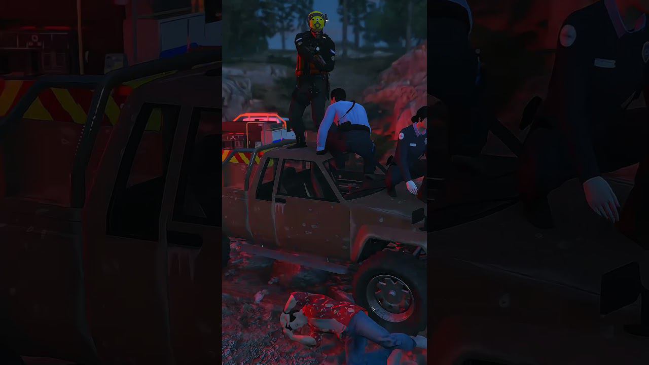 ШОК! Дикая Кошка в GTA 5 RP #shorts смотреть онлайн