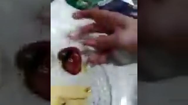 Проводим опыт есть ли в продуктах крахмал? смотреть онлайн