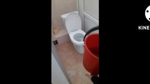 обзор на женский туалет (девочки простите)