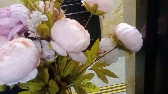 интерьерные цветы смотреть онлайн