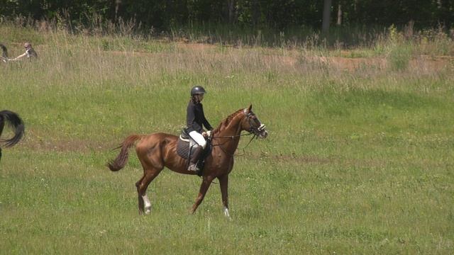 H2320023 смотреть онлайн