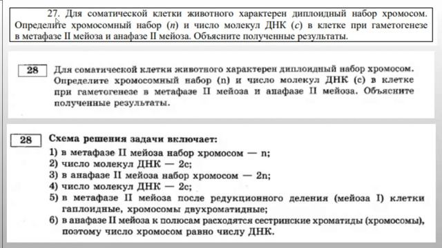 Решаем задачу ЕГЭ 2024 на плоидность линии 27 смотреть онлайн