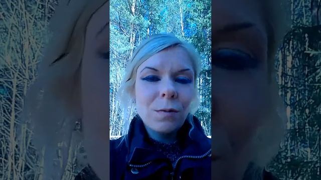 как правильно организовать отдых Собак на природе смотреть онлайн