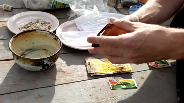 Замачивание семян кабачков гороха фасоли и других перед посадкой.