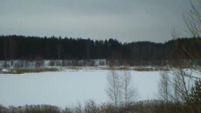 #Ралли. Ралли "Петровская Верста 2023 смотреть онлайн