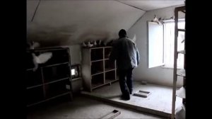 Бакинские бойные голуби .Племенные голуби - Часть 2 /Baku pigeon (Vitalie Stirbu / Кишинёв, Молдова
