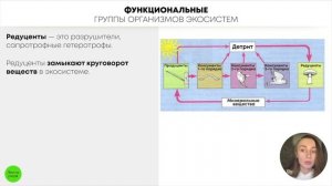 БИОЛОГИЯ ЕГЭ - Экосистема . Пищевые цепи и сети