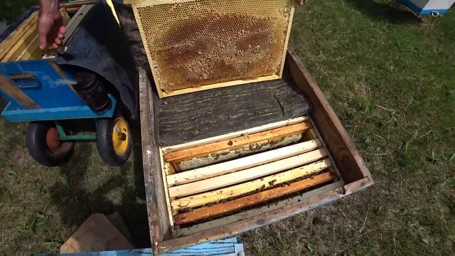 Двухматочное содержание! СТОИТ ЛИ???