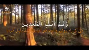 Нашид. Тала Ал бадру алайна. Nasheed Tala Al Badru Alayna
