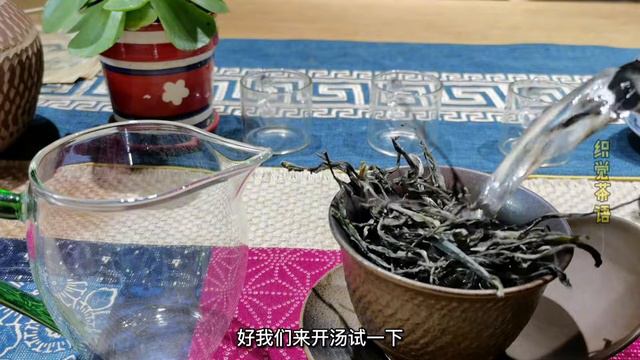 茶友说普洱茶怎么也喝不懂水太深，不怕，跟着普文一步一步看懂它 смотреть онлайн