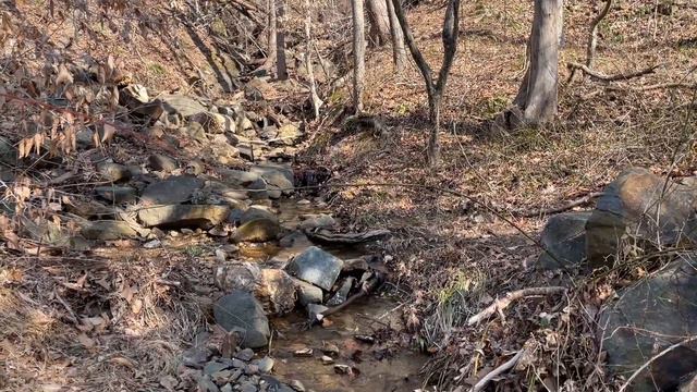 Take a hike! At Palmer State Park - Street Maryland @preacherandme смотреть онлайн