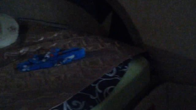 Короче говоря мы нашли щенка смотреть онлайн