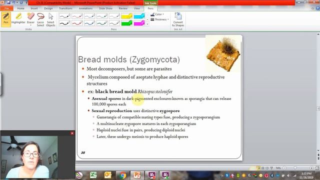 Fungal groups 1 смотреть онлайн