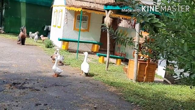 Поделки из бутылок ,народные умельцы. смотреть онлайн
