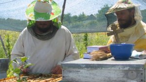 Молитва пчеловодов, при освящении пчелевника и о помощи пчеловодам