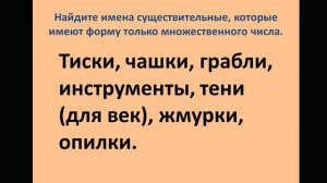 Существительные только множественного числа