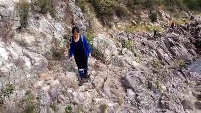 saikung go to lagoon смотреть онлайн