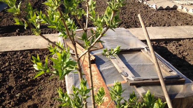 ВЕСЕННЕЕ ВОСКРЕСНОЕ УТРО. 15 АПРЕЛЯ 2018 ГОДА.