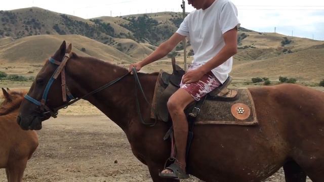 ВЛОГ:ПРОГУЛКА НА ЛОШАДЯХ!!!{кв#6} смотреть онлайн