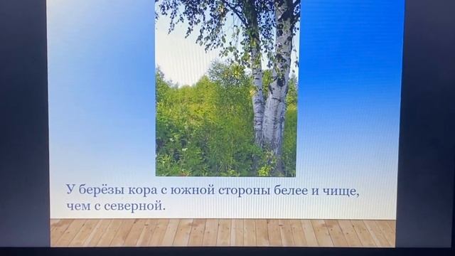 Лесные наследия