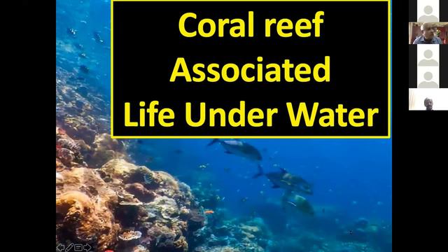 Conservation of Coral Reefs in India | Dr. K. Venkataraman смотреть онлайн