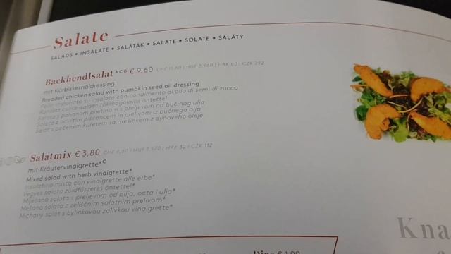 OBB Railjet First Class Train From Vienna Airport to Vienna Central Station / June 2022 смотреть онлайн