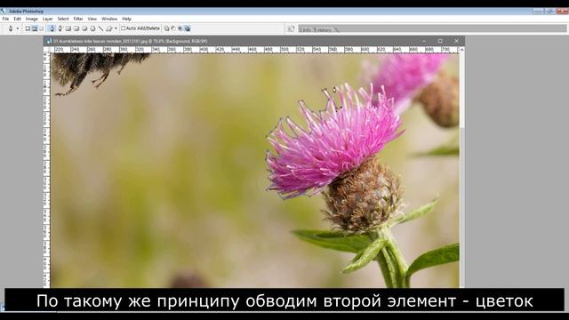 Как сделать бесшовный паттерн в Фотошопе за 15 минут смотреть онлайн