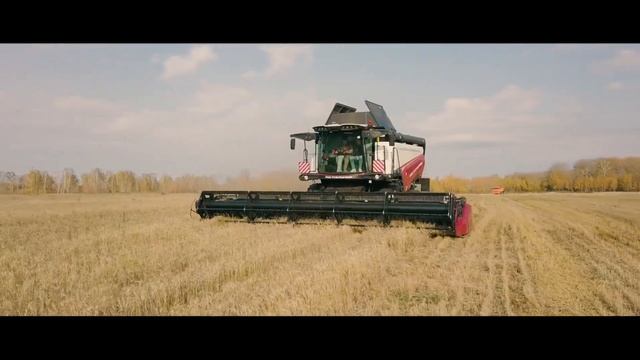 ИП Вавула о зерноуборочном комбайне Т500. Свердловская область, Камышловский район